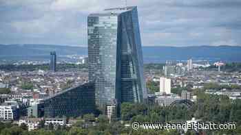 Geldpolitik: „Zur Zinssenkung gezwungen“ - Das Dilemma der EZB