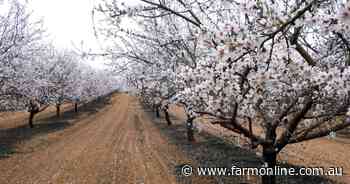 Almond giant cuts 2025 harvest estimates, share price dives