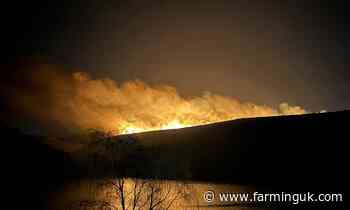 Calls for upland grazing review as wildfire risk grows