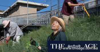 ‘Disappointing’: VicTrack takes over station beautification program