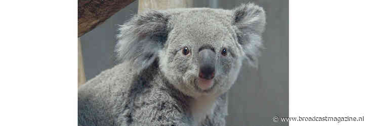 Nieuw seizoen Het echte leven in de dierentuin bij NTR