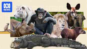 Why conservationists are afraid to criticise India's largest zoo