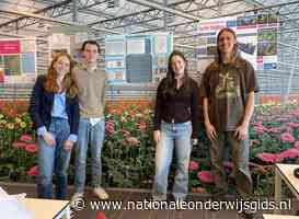 Studenten onderzoeken in Delft oplossingen voor hitte en wateroverlast