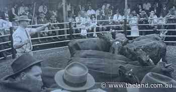 Progress or loss? Development signals the end for Nowra and Camden saleyards