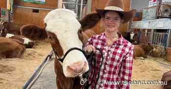Simmental youth carrying on legacy of teenage cattle parader taken too soon