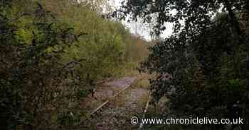 Leamside Line could bring new train services to 100,000 people ? as map showcases possible stations