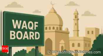What is 'waqf by user' and why was it flagged by Supreme Court?