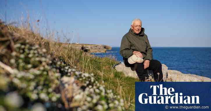 I’m obsessed with coastal wildflowers: they look so delicate but thrive in tough conditions