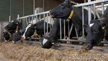 Melkproductie in Duitsland dieper in het rood