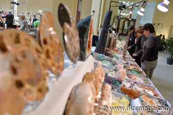 Le Mineral Events revient à Menton ce week-end pour sa 23e édition