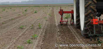 Suiker zit in de hoek waar de klappen vallen