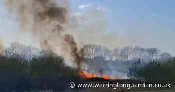 Pair arrested for arson over Twiggeries fire are aged 13 and 14, police confirm