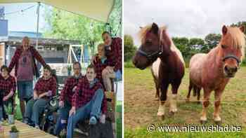 Bar Boerderie opent de (stal)deuren: jaarlijkse zomerbar van Nektari start met zangfeest