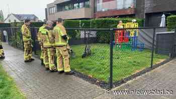 Elektrische step ontploft in woonkamer van Kurings huis: man gewond naar ziekenhuis
