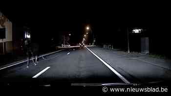 Dashcambeelden tonen ontsnapt paard op gewestweg in Peer: “Plots hoorde ik geklikklak”