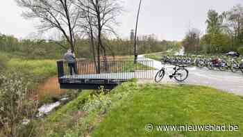 Evence Coppéelaan heringericht en weer open: "Voorbeeld voor heel Vlaanderen"