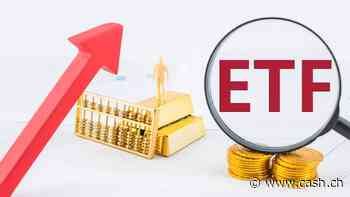 Schutz gegen hohe Verluste: Diese ETFs sind eine Überlegung wert