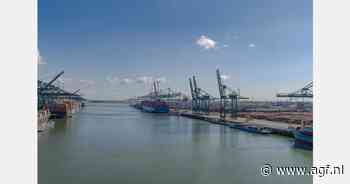 Amerikaanse importtarieven zetten handelsrelatie met haven Antwerpen-Brugge onder druk