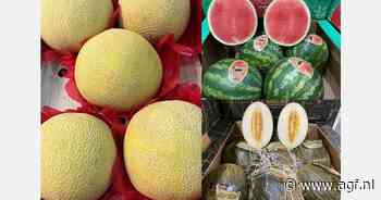 "Goede vooruitzichten Mediterraanse meloenen na moeizaam overzees seizoen"