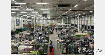 "Door mooie weer dalen prijzen aardbeien en asperges richting Pasen"