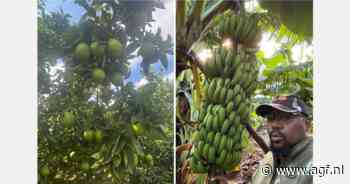 "Ik ben het voorbeeld dat plattelandsontwikkeling wel werkt"