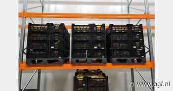 Kunststof pallets niet geschikt voor miniknollen