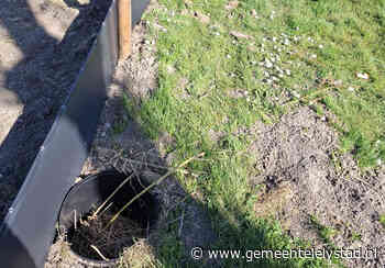 Bouwrijp maken De Elzen start iets later