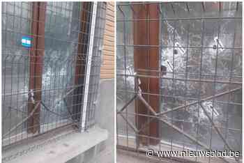 Twee verdachten gearresteerd na nieuwe schietpartij aan metrostation Clemenceau in Anderlecht, eerder ook al steekpartij: één persoon in levensgevaar