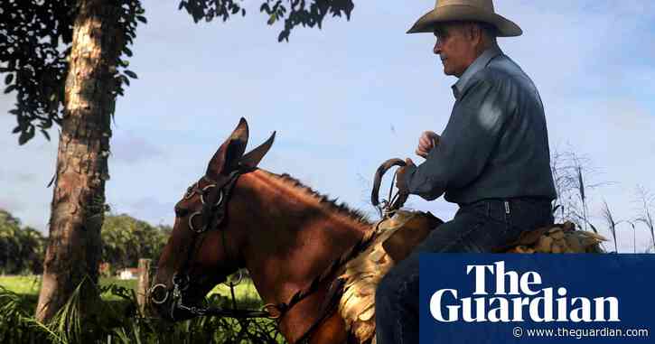 Bibles, bullets and beef: Amazon cowboy culture at odds with Brazil’s climate goals