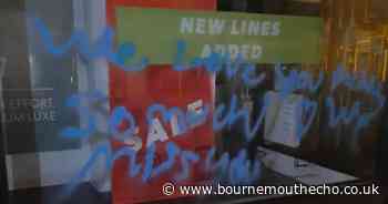 Woman who went on spray paint spree has been jailed for criminal damage