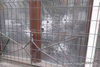 Twee gewonden bij nieuwe schietpartij in Clemenceauwijk: “Twee verdachten opgepakt”