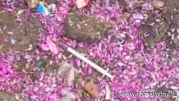 Rifiuti e siringhe attorno alla scuola, Giannini (Lega): "Serve maggiore presenza delle forze dell'ordine"