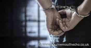 Man tried to import 4.7kg of drugs to New Forest address