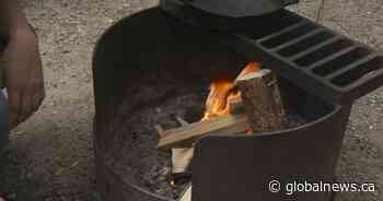 Fire bans issued across Saskatchewan amid early dry conditions