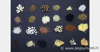 "Inzetten op zaadvaste rassen als alternatief voor hybridezaden"