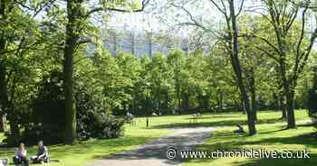 Petition to 'save' Leazes Park from Newcastle United new stadium development signed by 11,000 people