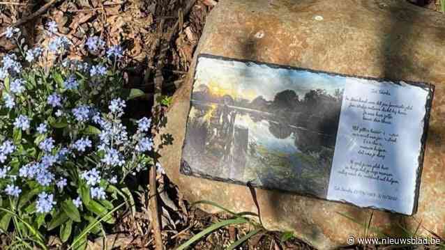 Gedenksteen Zoë Snoeks mag blijven, vergeet-me-nietjes moeten weg: “Wees voorzichtig met wat je plant in kwetsbare natuur”