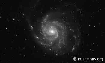 22 Apr 2025 (6 days away): Messier 101 is well placed