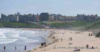 Busy beach 20 minutes from Newcastle loved by Sandro Tonali rated one of UK's best dog walks