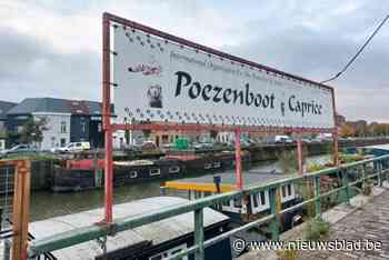Een nieuw adres voor de Poezenboot, met grote gevolgen: “Vier maanden sluiten zou al te gek zijn”