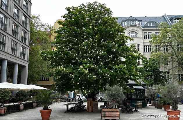 Presse-Einladung: Baum-Pflanzung ist High-Tech: Wir zeigen, wie es richtig geht! / Am Tag des Baumes in Berlin