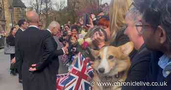 King Charles meets Corgi named after late Queen during Durham visit