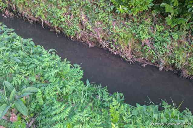 Beken in buurt van tapijtfabrikant kleurden deze week al tweemaal donker: “Maar wij voldoen aan alle lozingsnormen”