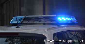 Investigation launched after human remains found near kids playground in Lewisham