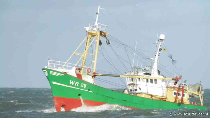 Tarbot en griet scoren goed in visafslag Lauwersoog