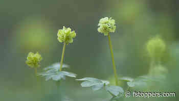 Mastering Unexpected Conditions in Nature Photography