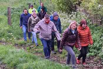 Wandelclub Bellingen 2.0 neemt zes weken wandelaars op sleeptouw: “Zes keer Pepingen op zijn mooist”