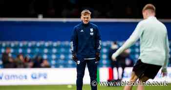 The Cardiff City injury bulletin as star suffers another setback ahead of crucial Sheffield United clash