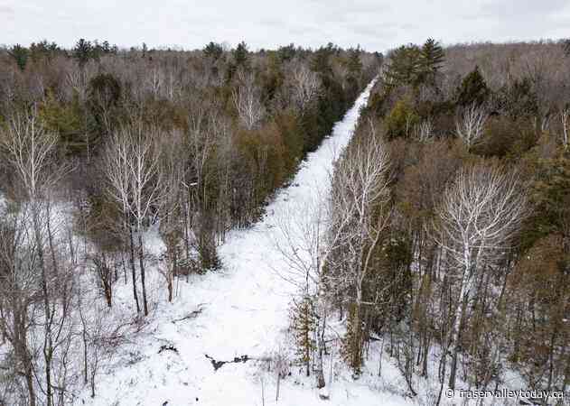 Woman, two young children missing after trying to cross border into Canada: RCMP