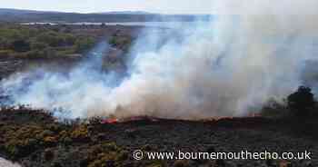 Studland heath fire sees road closures and ferry disruptions